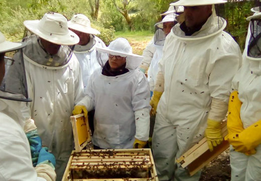 A Casa do Mel organiza un curso gratuíto de iniciación á apicultura en colaboración co Concello de San Sadurniño